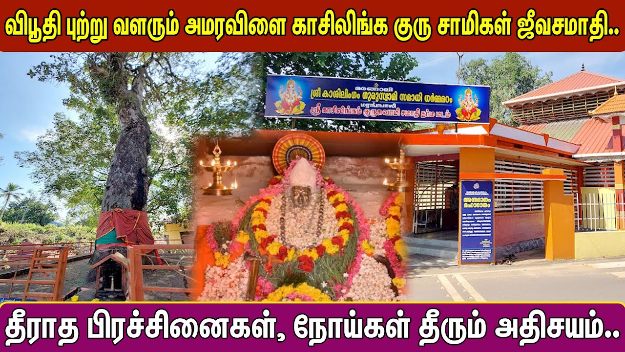 விபூதி புற்று வளரும் அமரவிளை காசிலிங்க குரு சாமிகள் ஜீவசமாதி.. | Pranavam TV