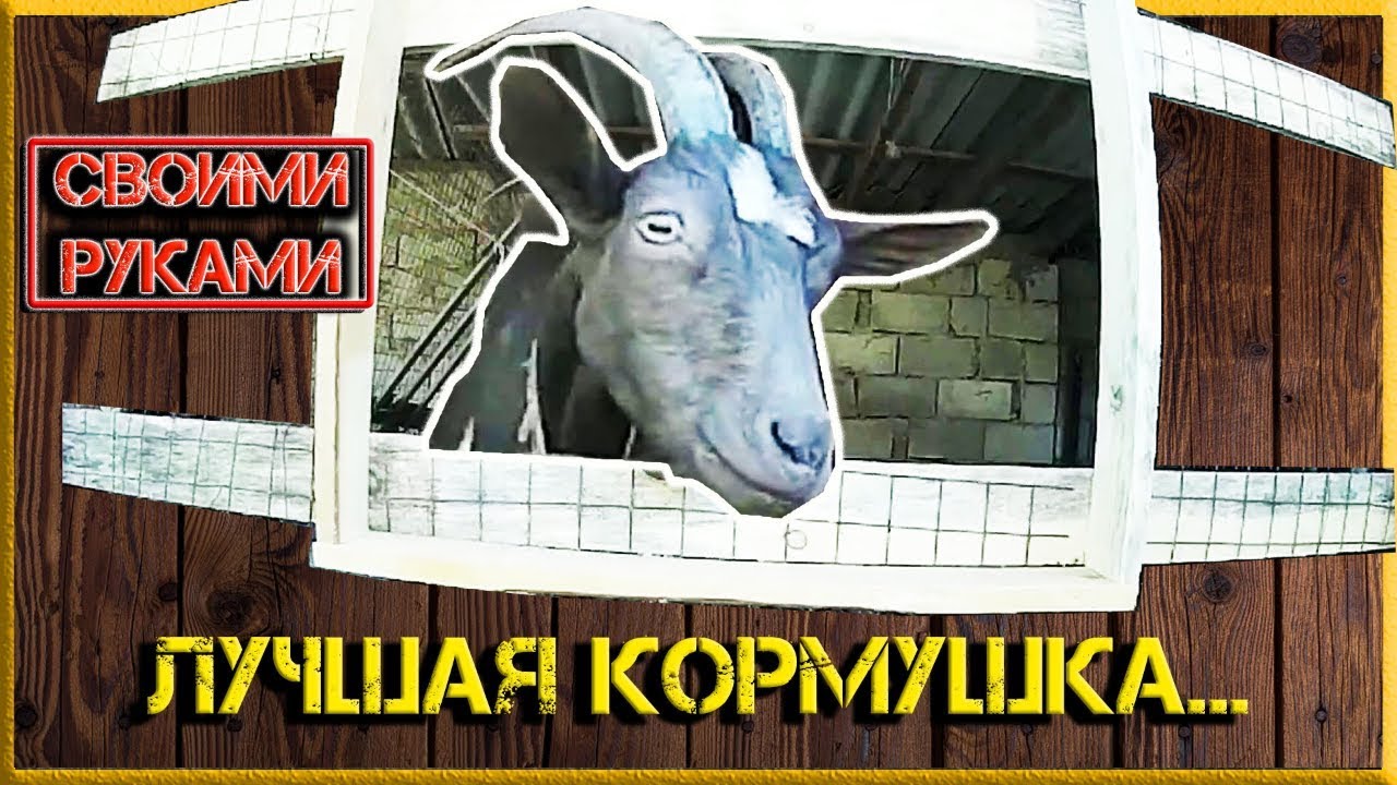 ✅  ЛУЧШАЯ КОРМУШКА ДЛЯ КОЗ!!! 🐐 Как сделать своими руками, или как избежать потери кормов! 👍