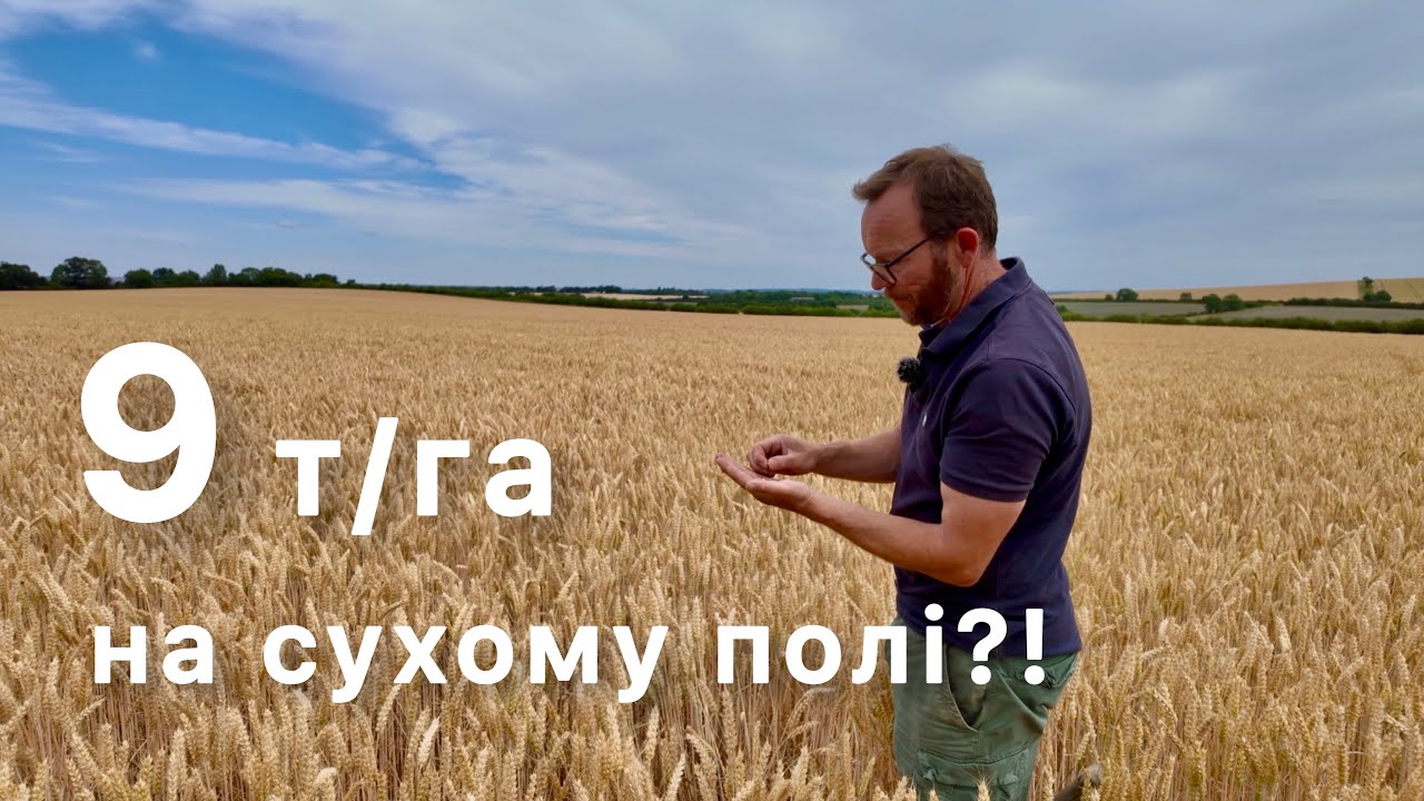 9 т/га пшениці на сухому ґрунті з камінням - як це можливо?