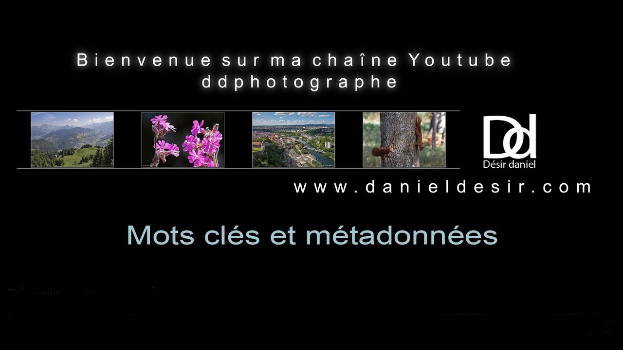 Mots clés et métadonnées dans Lightroom Classic