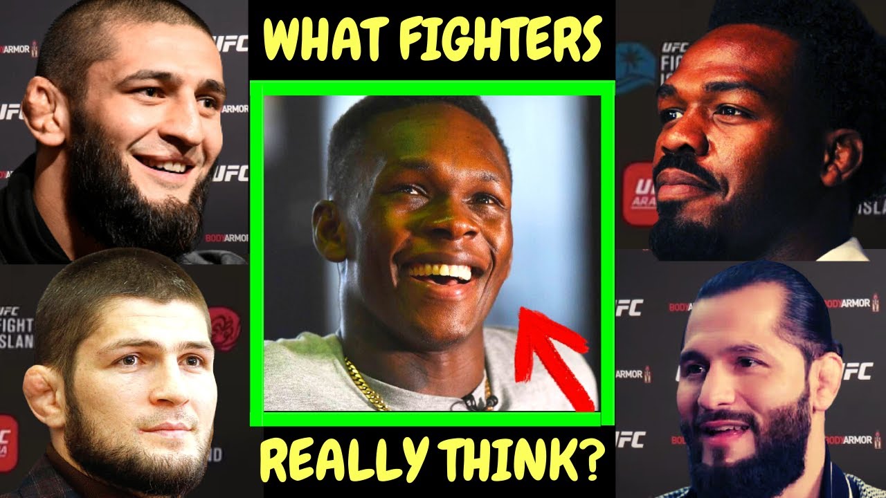 What UFC fighters 