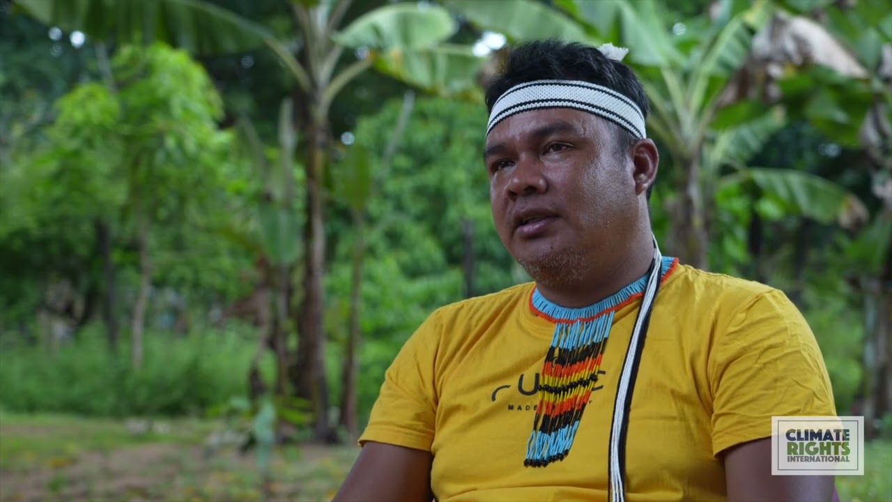 Before It’s Too Late: Curbing Cattle-Driven Deforestation and Rights Abuses in Brazil