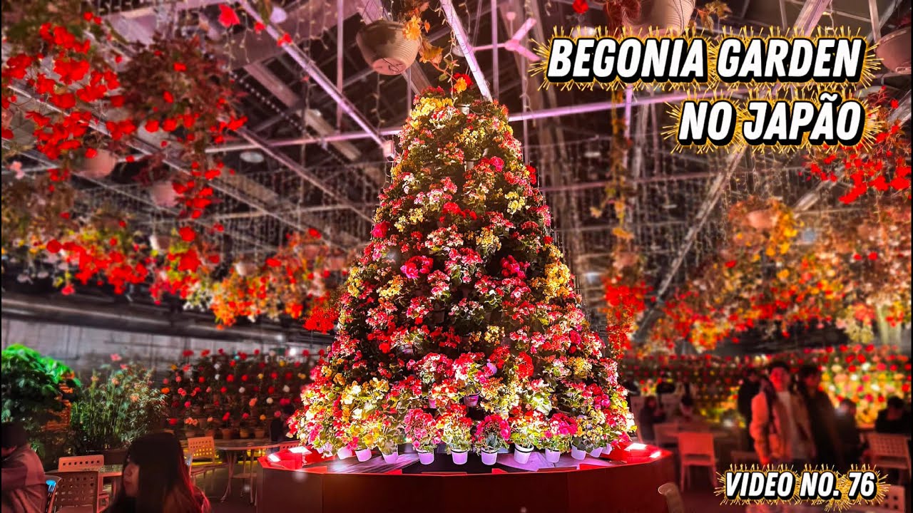 Begonia Garden no Japão! - Vídeo No. 76