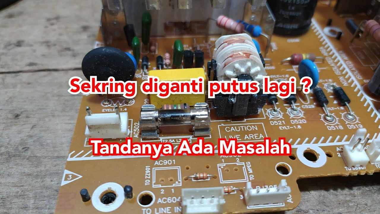 Apa  Saja Penyebab Speaker Aktif Polytron Mati Total ?