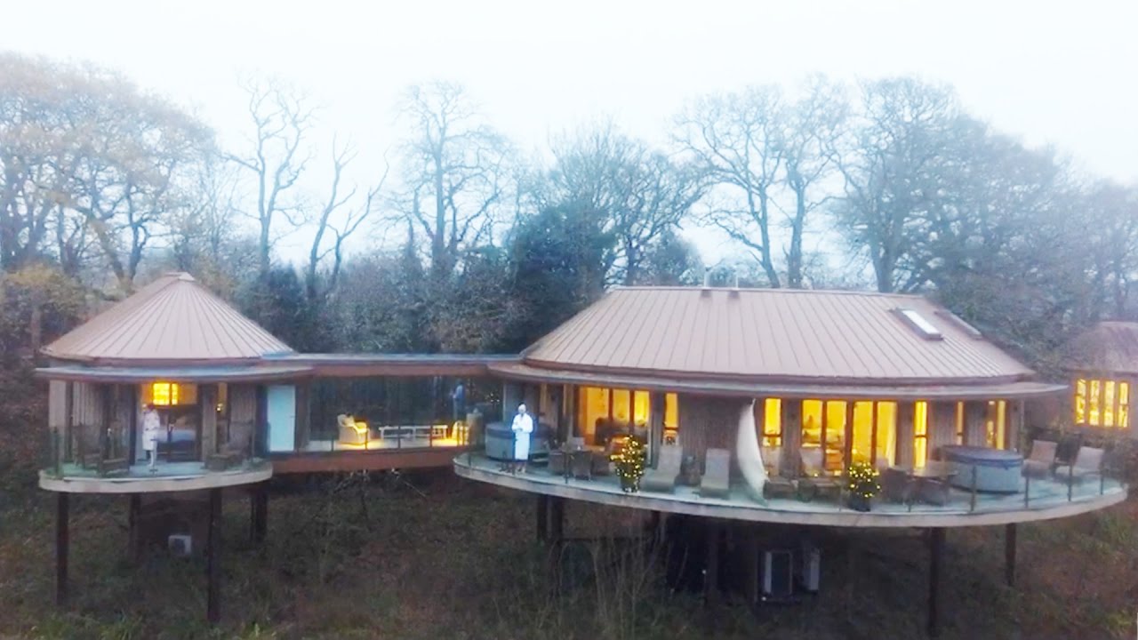 Chewton Glen — потрясающий домик на дереве в лесу