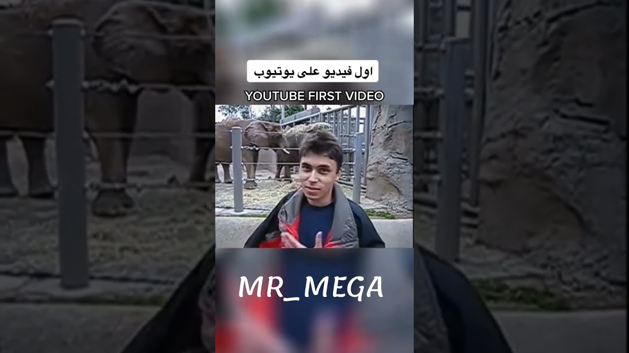 هل تظن ان سنة 2005 كانت سنة عادية؟ 