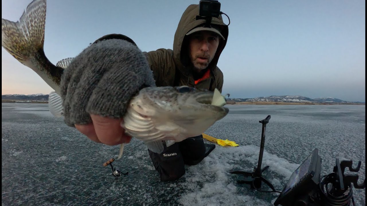 Montana Walleye Ice Fishing NEW SEASON. Trout by day, Walleye at dusk!