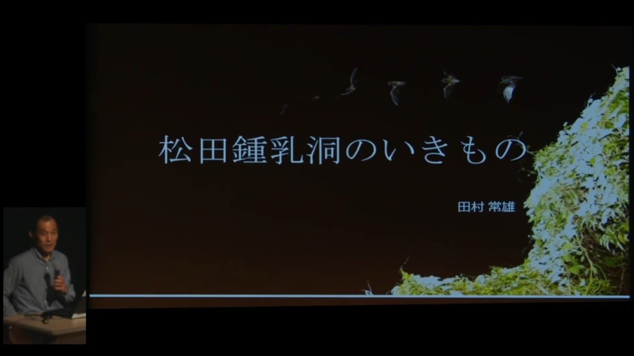 令和6年度 宜野座村立博物館 郷土史講座『松田鍾乳洞のいきもの』　講演者：田村 常雄（コウモリの会）