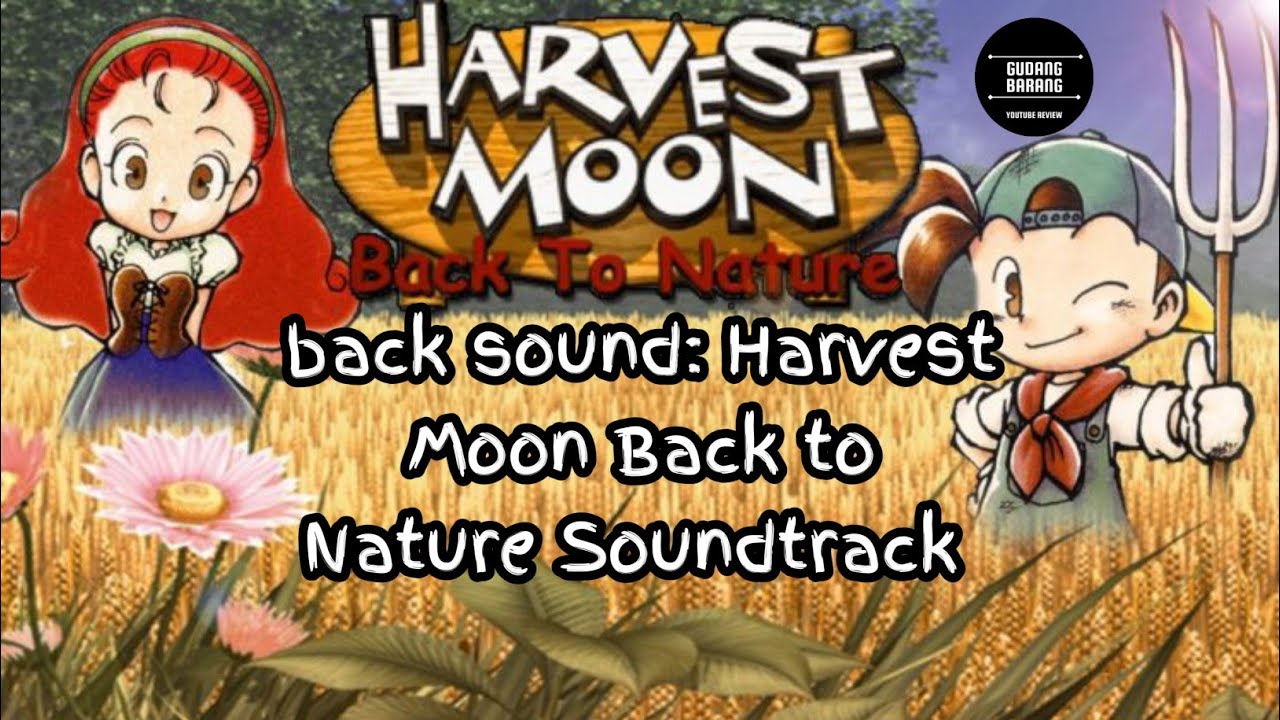 Backsound Harvest Moon Back to Nature Soundtrack (BTN - Town) 1 Hour Music.