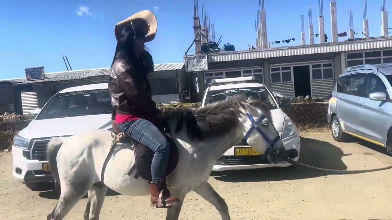 First time Horse Riding kiya 🤗😍🐎 