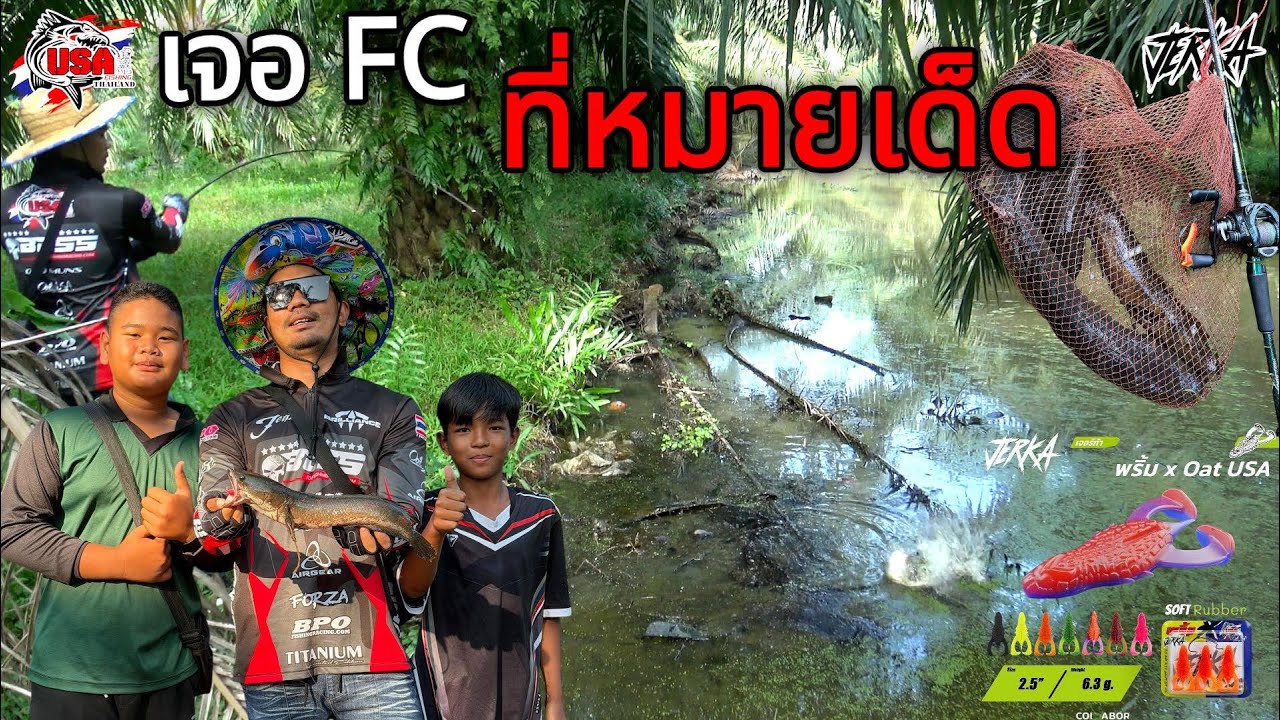 ตกปลาช่อนหมายชุมพร เจอFC เจ้าทิ่น