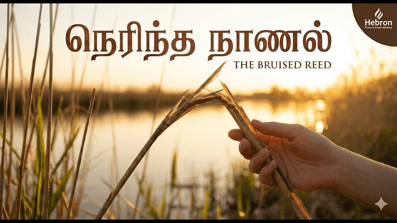 நெரிந்த நாணலை முறியாத தேவன் |  | Life like smoldering reed Hebron Praise & Prayer Ministry