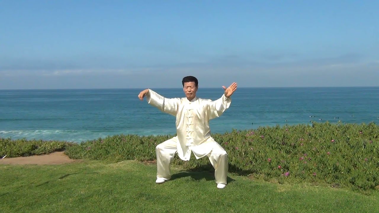 Compact Tai Chi Qigong Therapy by Dr. Jesse Tsao