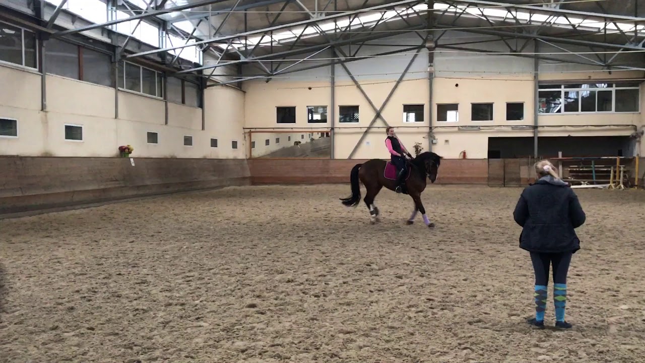 Пируэт на галопе