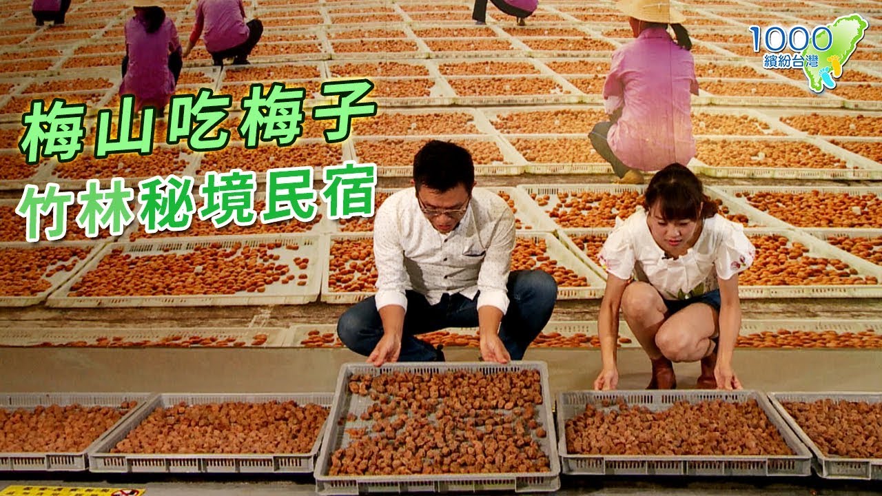 全集【嘉義梅山】來梅山當然要吃梅子！｜三合院民宿，探索茶園竹林秘境、優雅品茶│梅問屋梅子元氣館,大山自在民宿,龍眼林茶工場│Meishan,Chiayi│ep.310