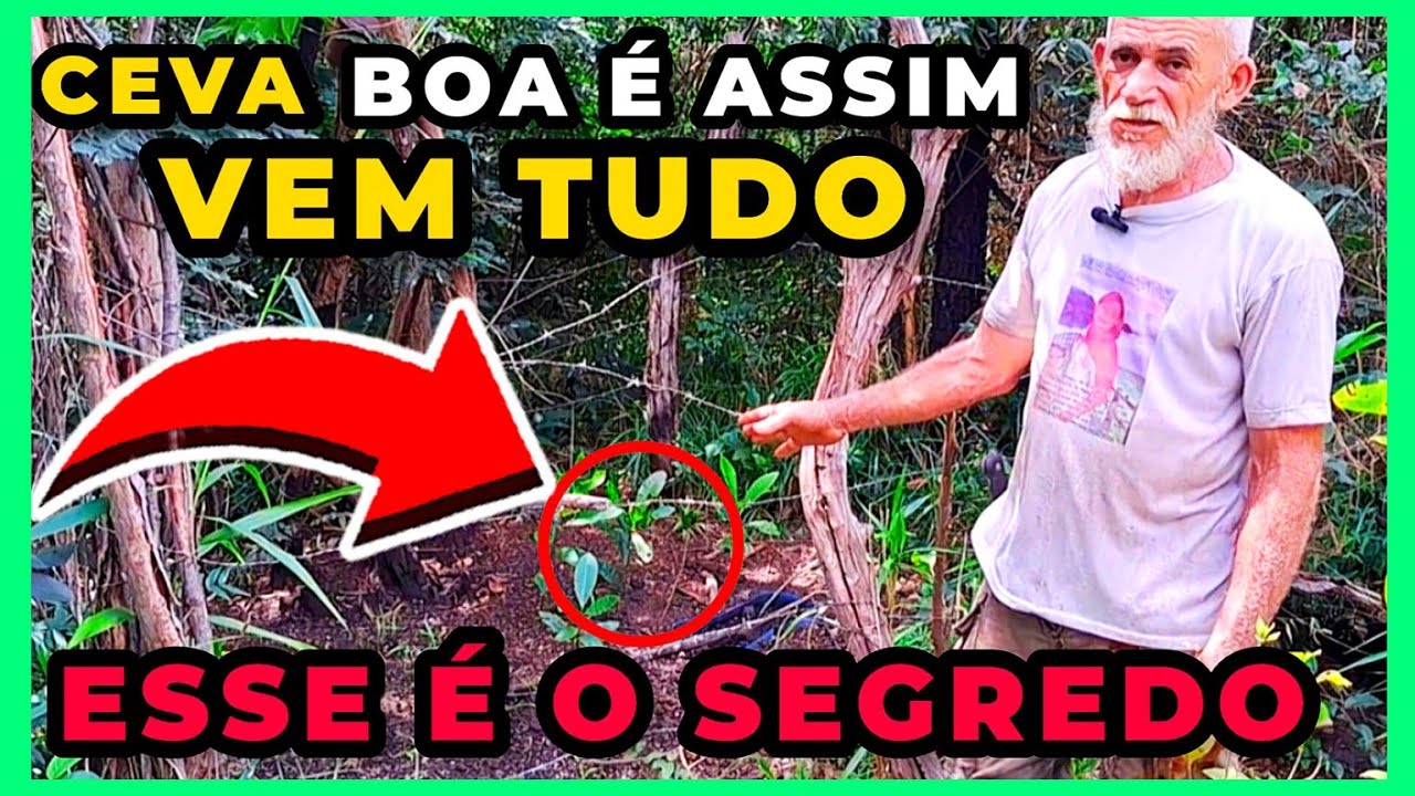 🔴CEVA PARA TODA CAÇA QUAL O SEGREDO PARA FAZER UMA CEVA FICAR BOA PARA QUALQUER CAÇA|CAÇADOR EXPLICA