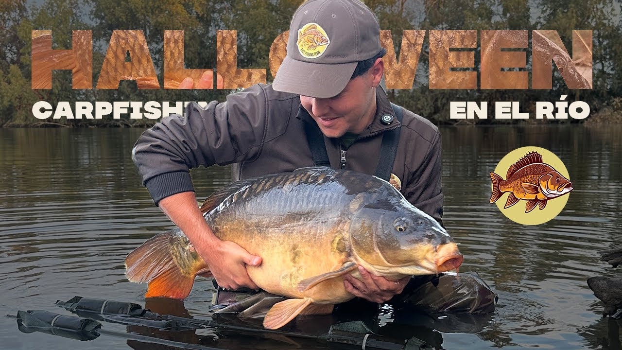 El RETO del RÍO SALVAJE en BUSCA de sus ROYALES · Especial de halloween 2025 - Easy Fishing