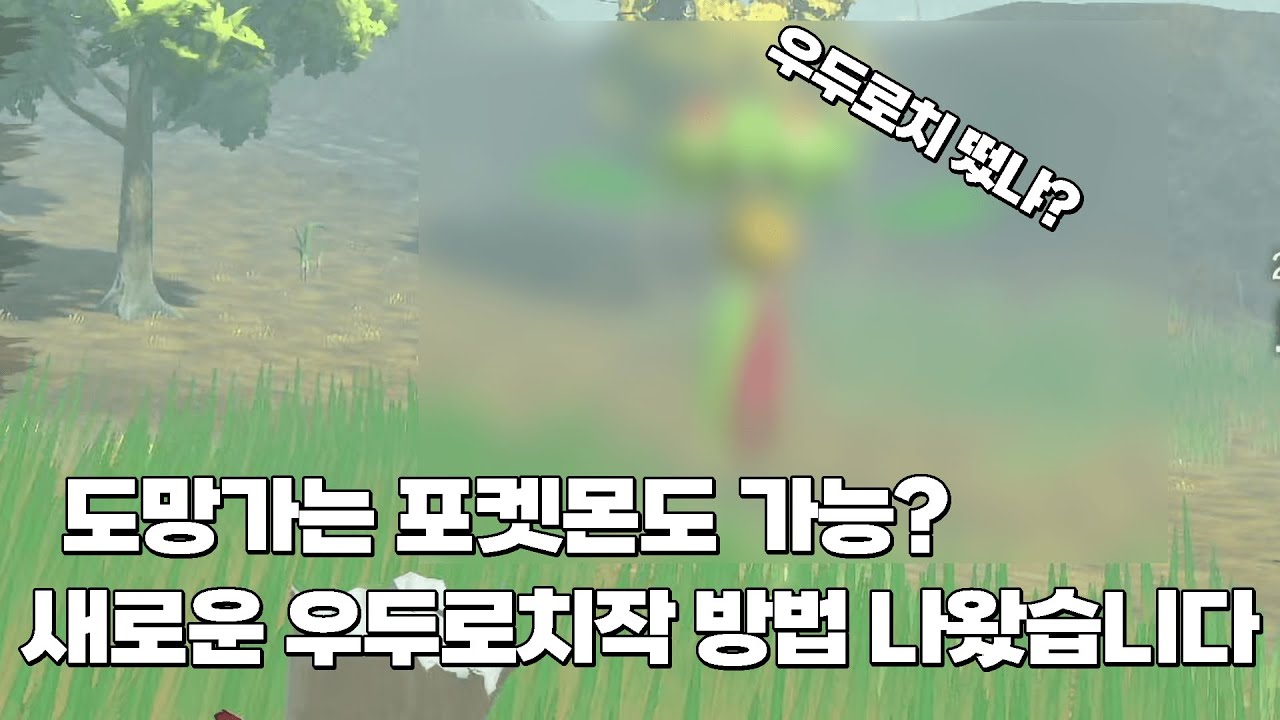 새로운 우두로치작 방법 떴다 [포켓몬스터 레전드 아르세우스]