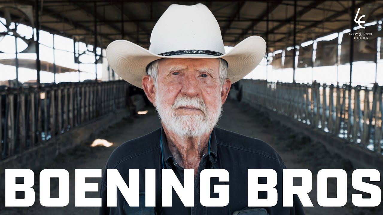 The Boening Brothers Dairy