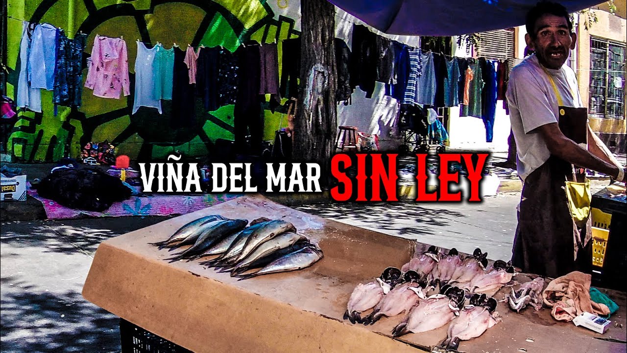 Mercado callejero SIN CONTROL en Arlegui (Viña del Mar)