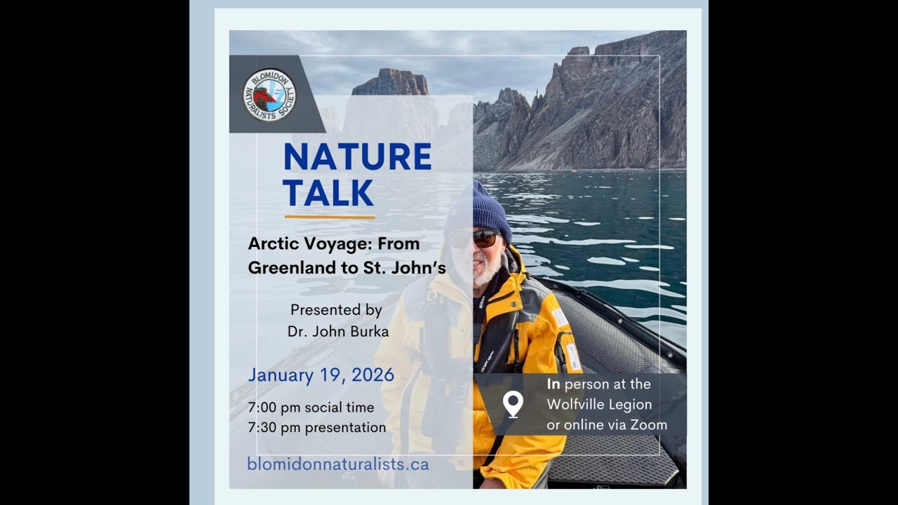 Arctic Voyage by John Burka