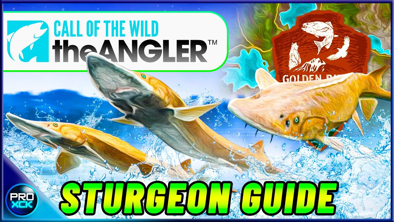Shovelnose Sturgeon GUIDE! | How to Catch a Diamond Sturgeon! - Call of the Wild the Angler