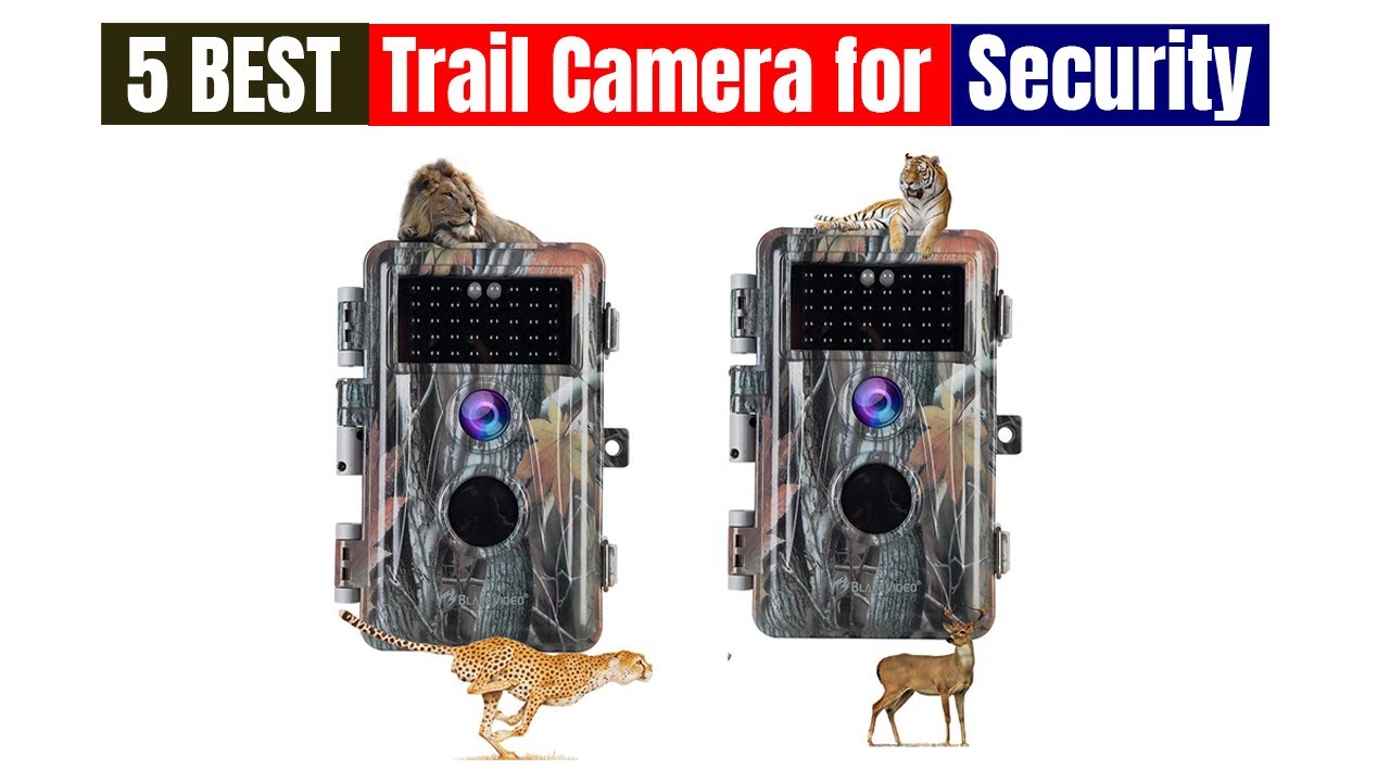 Best Trail Camera for Security of 2025 [Updated]