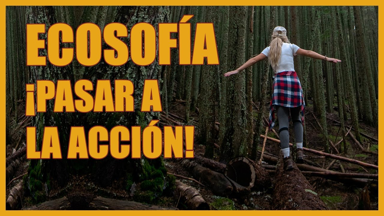 ECOSOF&Iacute;A: &iexcl;PASAR A LA ACCI&Oacute;N!