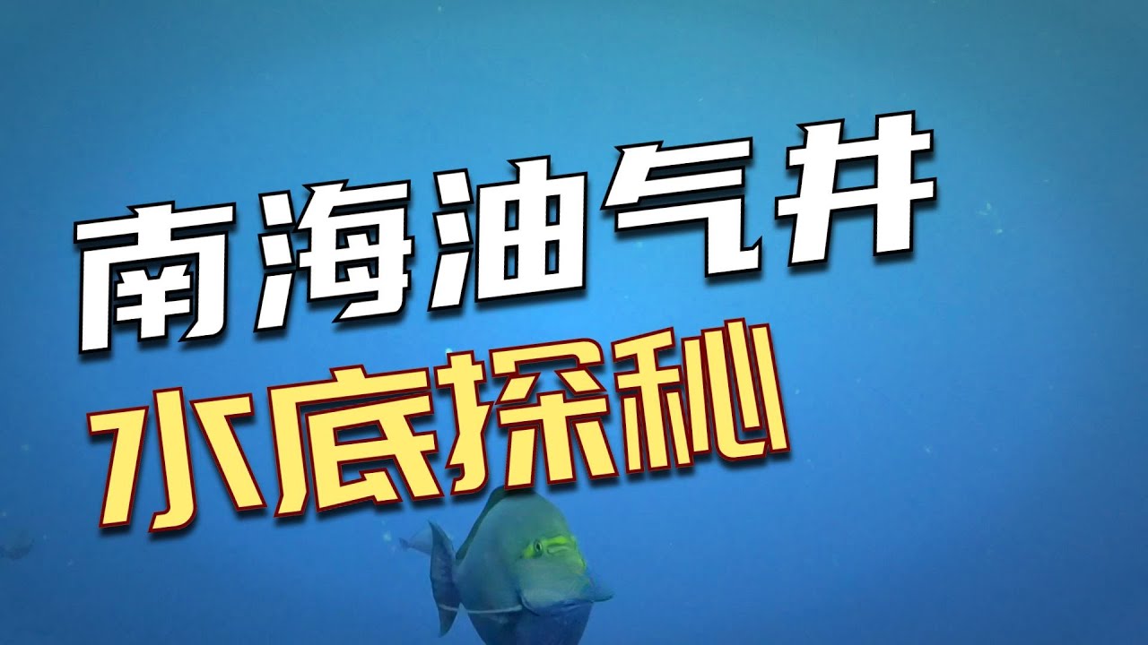 南海油气井水底情况