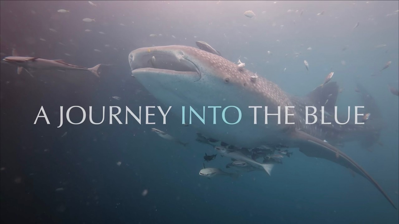 DERAWAN ARCHIPELAGO. A Journey into the Blue