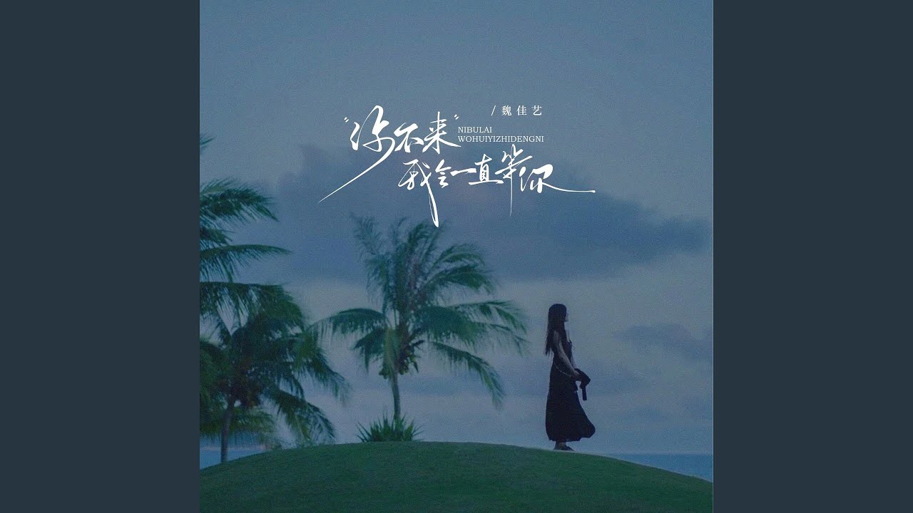 你不来我会一直等你 (下辈子还要遇见你)