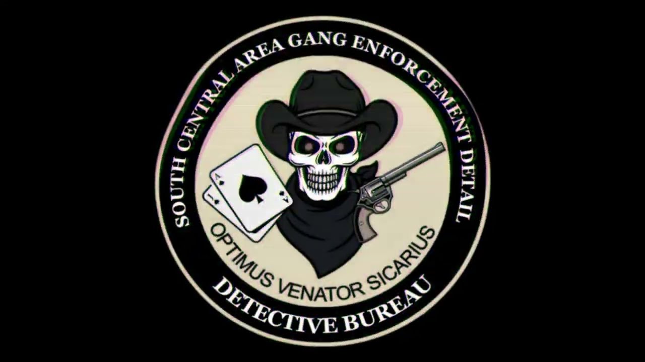 Gang Enforcement Detail | Cleaning the Streets