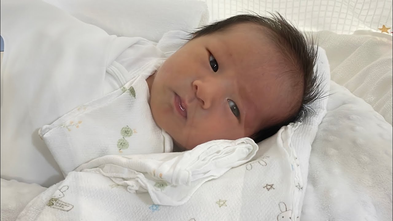 태어난지 4일차 드림이🧸