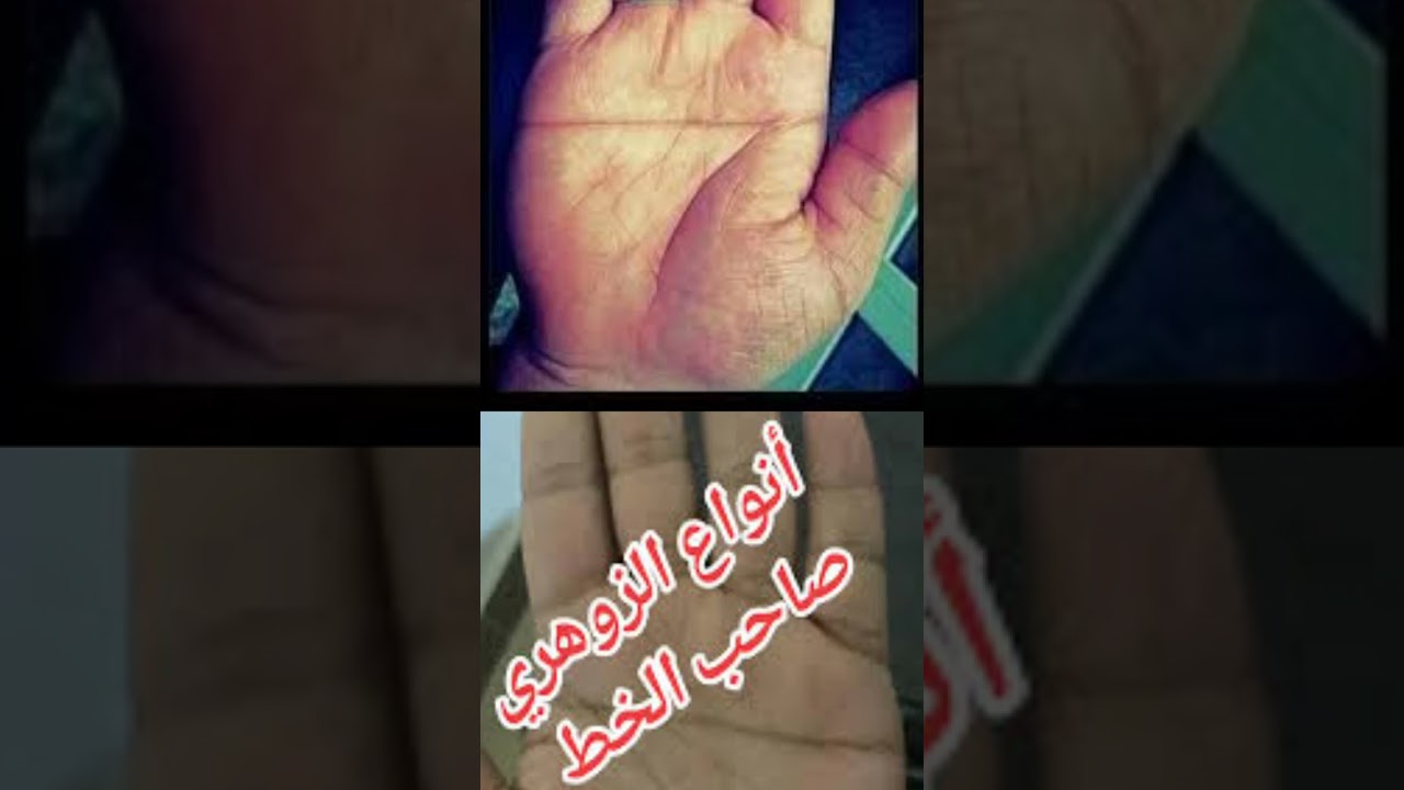 أنواع الزوهريين صاحب الخط القاطع إليك هذا الفيديو