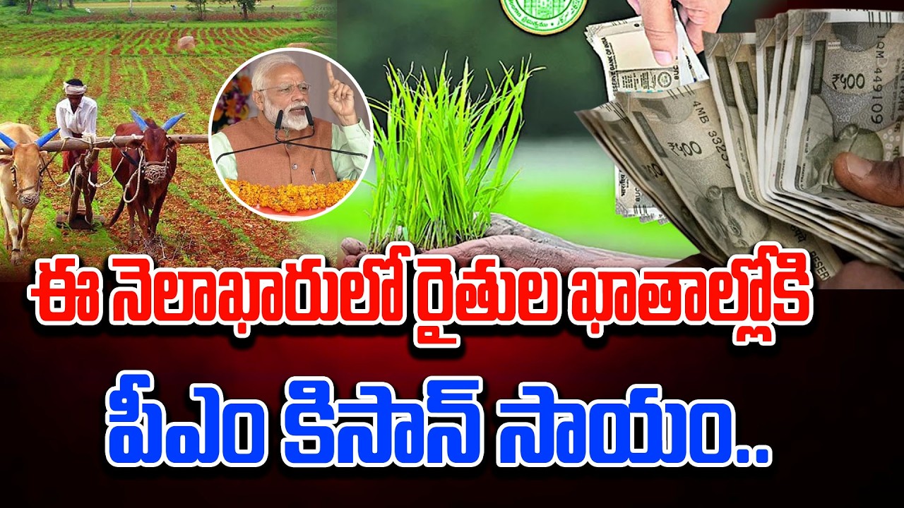 భూ భారతిలో భారీ స్కామ్‌.. బీఆర్‌ఎస్‌ డిప్యూటీ ఫ్లోర్‌ లీడర్‌ హరీశ్‌ ఫైర్‌..|TS24 News