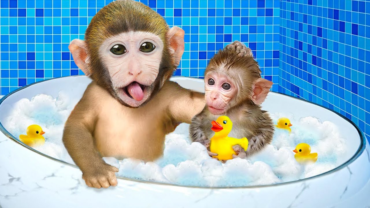 Mono Bon Bon y la Aventura Inesperada de Agua : Cuida al mono lindo en casa | MONO MOMO ESP