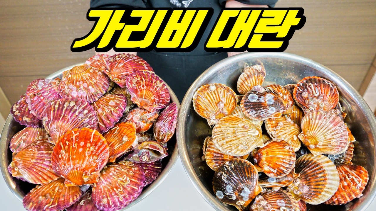 요즘 가리비가 저렴한 이유(가리비 구매하고 드실때 꼭 참고하세요!)