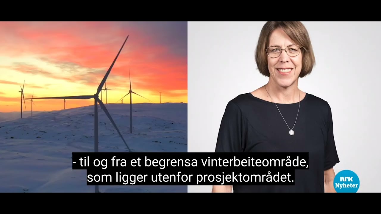 samer reindrift s&aelig;rrettigheter