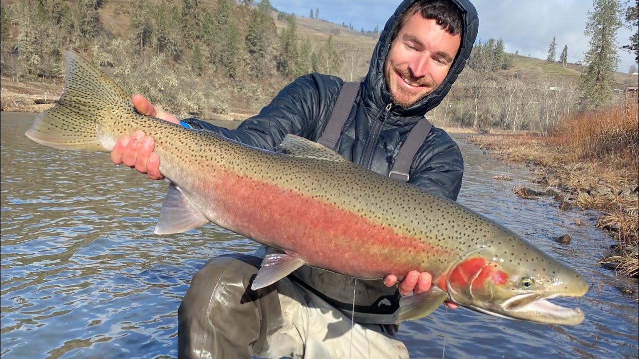 Steelhead State of Mind