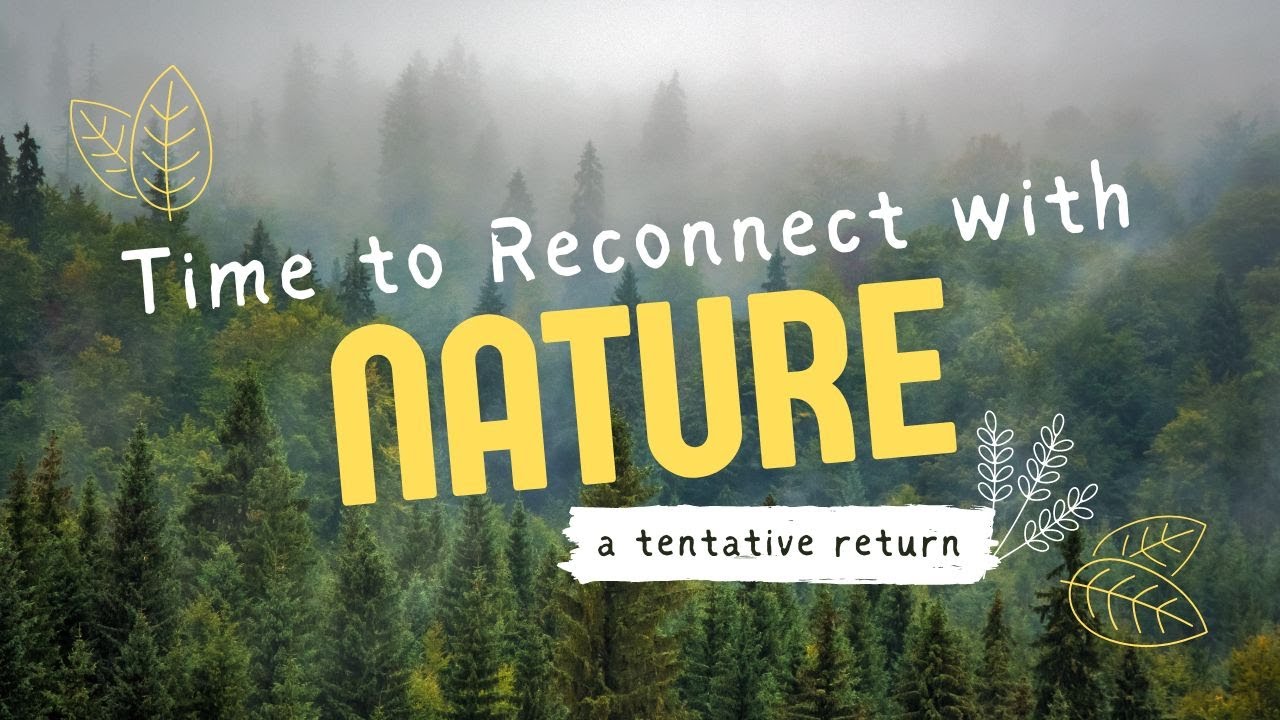 Back into Nature with Woodland Photography | Getting my Photographic Eye Back