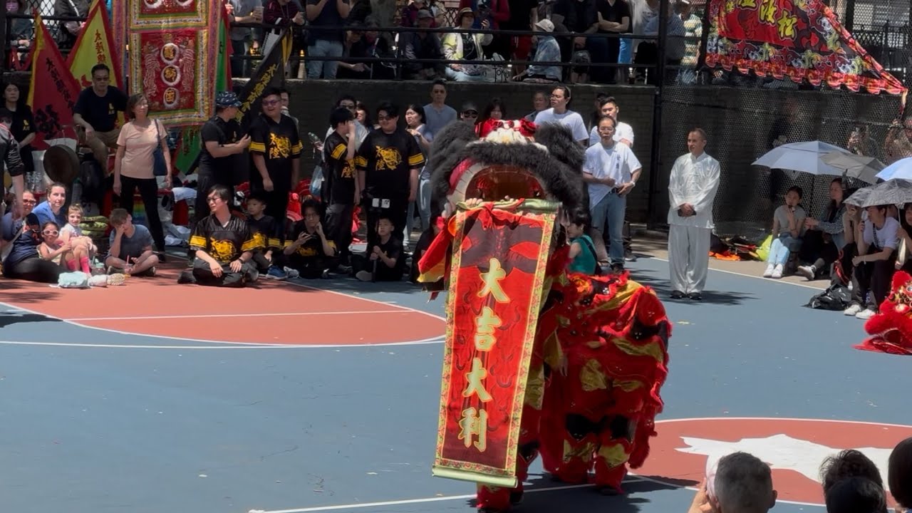 Lion Dance, 7 Annual Dragon Lion Festival Sara D. Roosevelt Park NYC | Fong’s Hung Gar