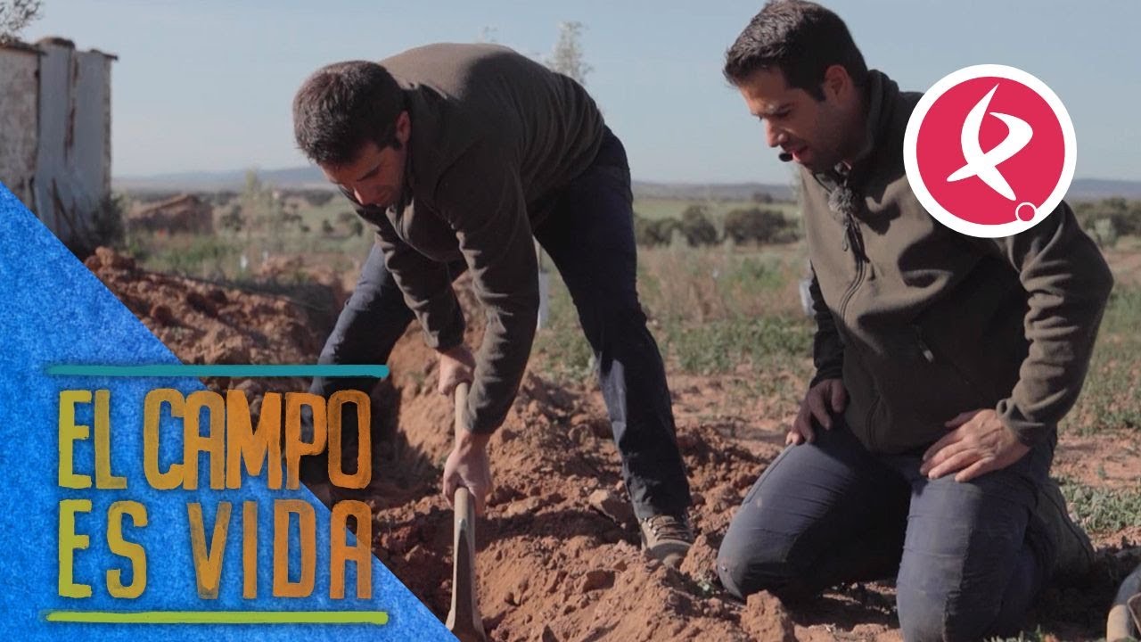 Los Mellis abren una zanja para conectar un pozo nuevo al riego  | El campo es vida