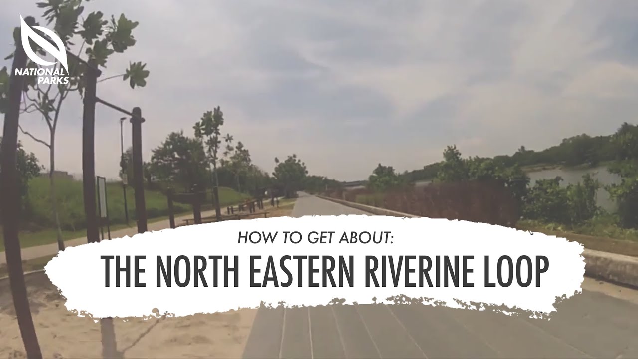 Cycling Through The North Eastern Riverine Loop | How To Get About
