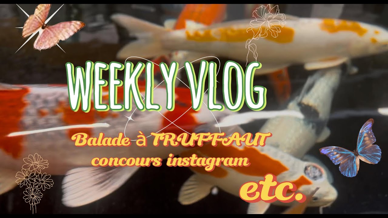 🍀Weekly vlog 🍀 balade en jardinerie, concours insta ect.