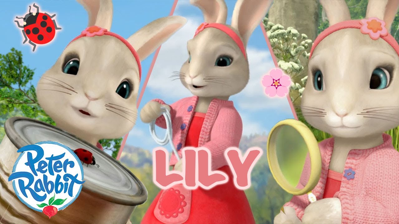 ​@OfficialPeterRabbit - 🌟 Lily's Brilliance 🌟 | Day of the Girl Special 🎉 💕🎉  | Cartoons for Kids