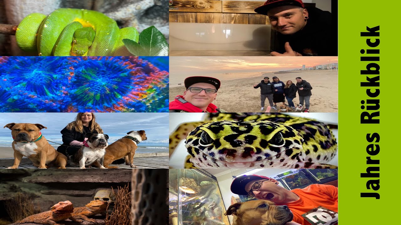 Jahres Rückblick meine 10.  Highlights 2020