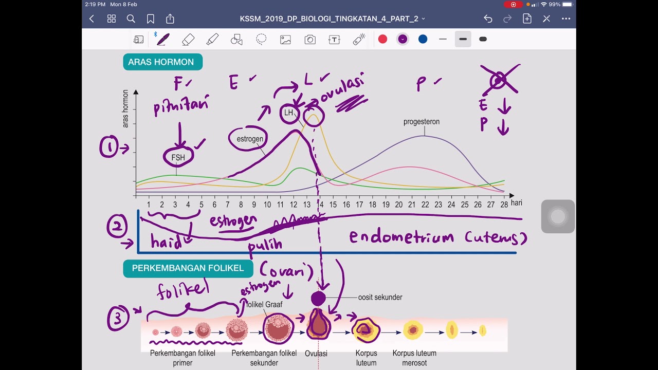 KSSM BIOLOGI TING 4 BAB 15 (15.3 KITAR HAID)