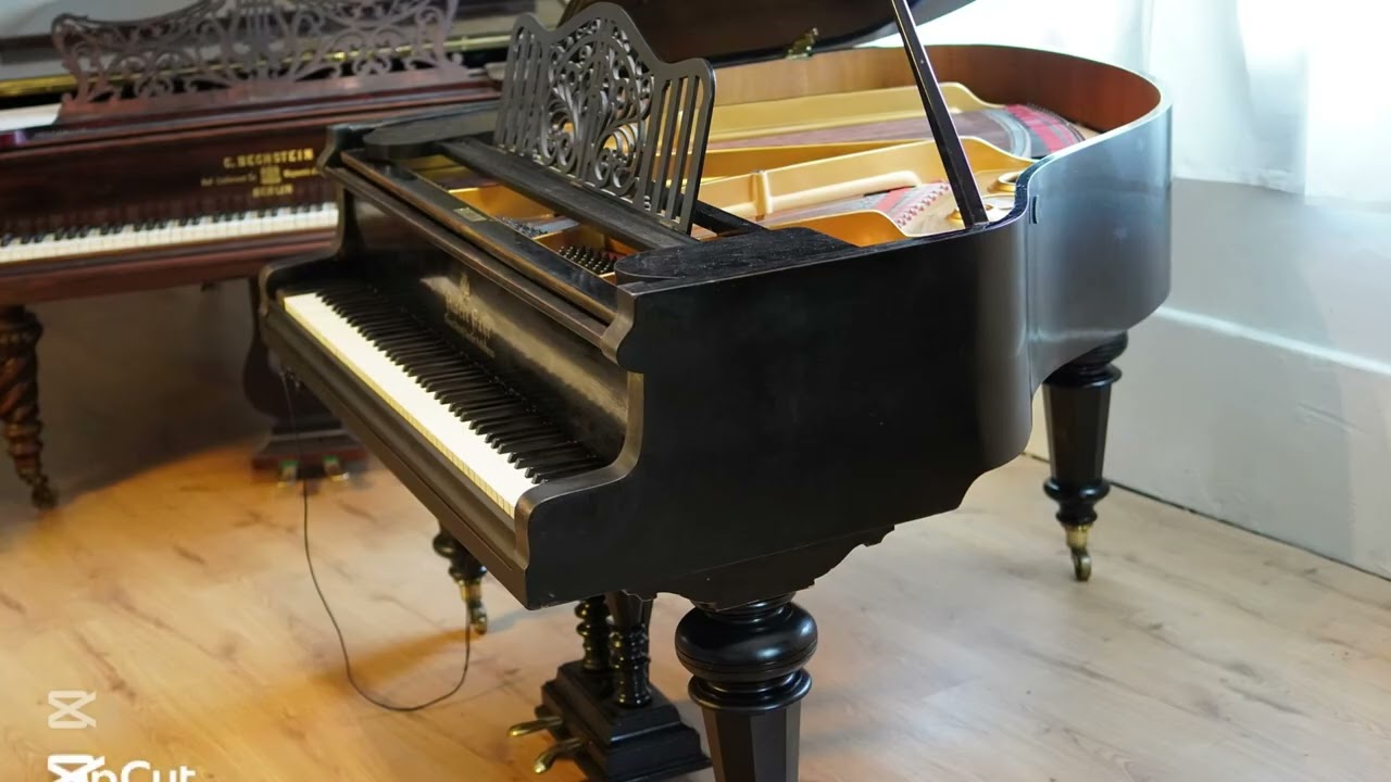 Albert Fahr Flügel 150cm