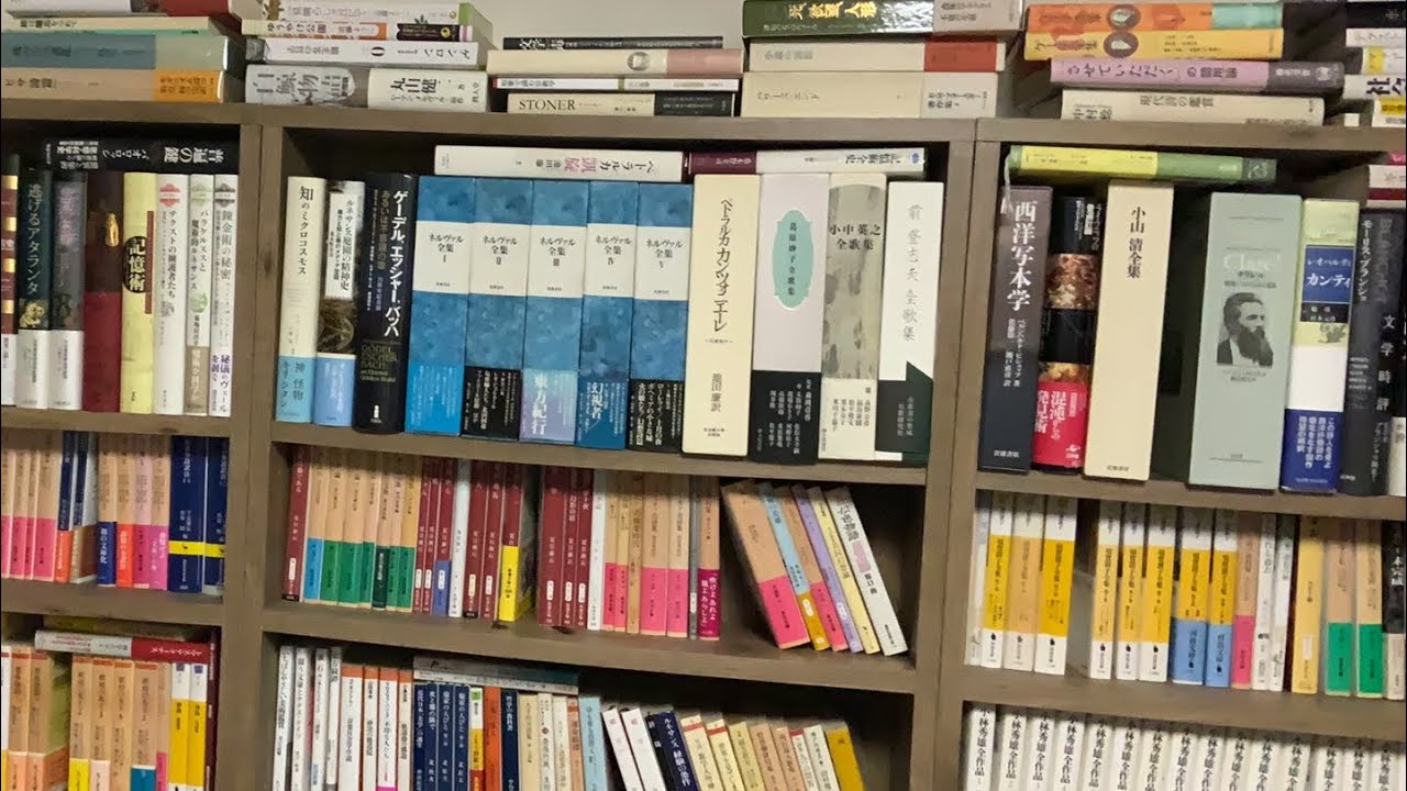 久々の生放送【一人語り】【スケザネ図書館】
