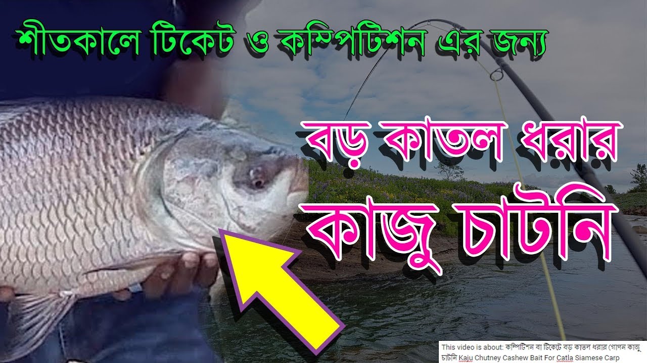 Fishing Video Katla Kaju Chutney কম্পিটিশন বা টিকেটে বড় কাতল ধরার গোপন কাজু চাটনি